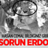 Hasan Cemal'e göre tek sorun Erdoğan