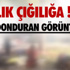 Banvit Nusret Yıldırım İle Anlaştı