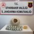 Diyarbakır'da bal kabağına gizlenmiş uyuşturucu bulundu