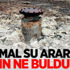 Siirt'te termal su aranırken, petrol bulundu Siirt'te termal su aranırken, petrol bulundu