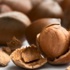 Fındığın kilogramı 17 lira oldu