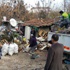 Bu evden 12 kamyon çöp çıktı Bu evden 12 kamyon çöp çıktı