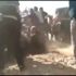 Beyrut'tan sonra patlamaya hazır bomba olan bir diğer liman Beyrut'tan sonra patlamaya hazır bomba olan bir diğer liman