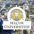 Selçuk Üniversitesi 33 öğretim üyesi alacak