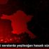 Söğüt teki seralarda yeşilsoğan hasadı sürüyor