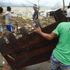 Filipinler'de Pakhar tayfunu nedeniyle 929 aile evlerinden tahliye edildi Filipinler'de Pakhar tayfunu nedeniyle 929 aile evlerinden tahliye edildi