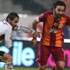 Kartal yazar, Aslan bozar