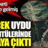 ﻿Felaket göz göre göre gelmiş. Gerçek uydu görüntülerinde ortaya çıktı