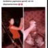Kızıl şahini öldürüp sosyal medyada paylaşan kadına ceza