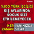 Annesine vuran adamdan intikam alan buzağı