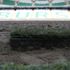 Bursaspor'un yeni stadına hibrit çim Bursaspor'un yeni stadına hibrit çim