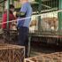 Güney Kore'de 200 köpeğin tutulduğu yeni bir köpek eti pazarı tespit edildi Güney Kore'de 200 köpeğin tutulduğu yeni bir köpek eti pazarı tespit edildi