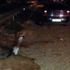Bir otomobil 50 koyunu telef etti Bir otomobil 50 koyunu telef etti