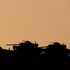 Sınıra tank takviyesi