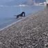 Antalya'da sahildeki insan atıklarını köpek topladı