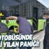 Son dakika: Halk otobüsünde yılan paniği! 2 metre uzunluğunda... Son dakika: Halk otobüsünde yılan paniği! 2 metre uzunluğunda...