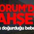 Çorum'da vahşet! Yeni doğurduğu bebeği..