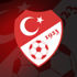 ﻿Milli takıma davet edilen oyuncular belli oldu