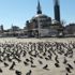 Sokağa çıkma yasağında Taksim Meydanı kuşlara kaldı Sokağa çıkma yasağında Taksim Meydanı kuşlara kaldı