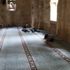 Adana'da sıcaktan bunalan vatandaş kendini camiye attı Adana'da sıcaktan bunalan vatandaş kendini camiye attı