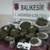 Uyuşturucu Operasyonunda 2 Tutuklama
