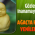 Kar yağışı panik atak nedeni!
