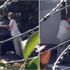 Video: ‘Gölcük depreminden bir kaç gün önce İznik Gölü’nde aynısı yaşanmıştı’ tezini uzmanlar reddediyor olsa da.. 1999 depreminin habercileri geri geldi Video: ‘Gölcük depreminden bir kaç gün önce İznik Gölü’nde aynısı yaşanmıştı’ tezini uzmanlar reddediyor olsa da.. 1999 depreminin habercileri geri geldi