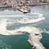Müsilaj komisyonu üyeleri belli oluyor Müsilaj komisyonu üyeleri belli oluyor