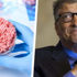 Tepki yağıyor! Bill Gates'ten çok tartışılacak çağrı: Dünya yapay ete geçsin