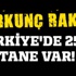 Korkunç rakam! Türkiye'de 2500 tane var