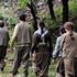 PKK’lı erkek teröristler kadın teröristleri bırakıp kaçtı PKK’lı erkek teröristler kadın teröristleri bırakıp kaçtı