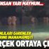 Tayland'daki esrarengiz canlıların sırrı ortaya çıktı