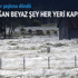 Gökten milyonlarca örümcek yağdı Gökten milyonlarca örümcek yağdı