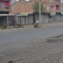 Diyarbakır'da 4 terörist öldürüldü Diyarbakır'da 4 terörist öldürüldü