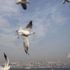 Meteoroloji duyurdu! Bugün hava nasıl olacak?