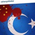 Şahan Gökbakar'dan Doğu Türkistan'a destek