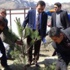 Hakkari’de Erdoğan için hatıra ormanı Hakkari’de Erdoğan için hatıra ormanı