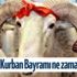 Kurban Bayramı ne zaman? 2021 Ramazan ve Kurban Bayramı tarihleri! 2021 Diyanet takvimi… Kurban Bayramı ne zaman? 2021 Ramazan ve Kurban Bayramı tarihleri! 2021 Diyanet takvimi…