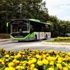 Katlı Otopark Ve 15 Özel Halk Otobüsü İhaleye Çıkıyor
