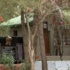 Süleyman Şah’ın naaşı başında saygı nöbeti
