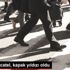 Cole Moscatel, kapak yıldızı oldu