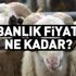 2018 Kurbanlık fiyatları ne kadar? 2018 güncel kurban fiyatları... Büyükbaş kurbanlık fiyatları... Küçükbaş kurbanlık fiyatları...