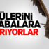 Karşıyakalı Zannedip Bıçakladılar!