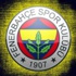 Fenerbahçe'ye iki isimden kötü haber!