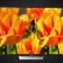 En beğenilen HDR televizyonlar sıralandı