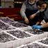 Karadeniz'de tezgahlarda hamsi bereketi Karadeniz'de tezgahlarda hamsi bereketi