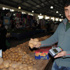 Pazarda kredi kartıyla patates dönemi! Pazarda kredi kartıyla patates dönemi!