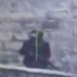 Video: Diyarbakır'da 1 Terörist Öldürüldü!