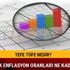 Enflasyon oranı 2018 Ocak son dakika TEFE TÜFE nedir ne kadar TÜİK TEFE TÜFE 2018 oranları