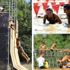 1000'e yakın sporsever, sınırlarını zorladı